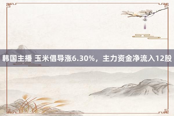 韩国主播 玉米倡导涨6.30%，主力资金净流入12股