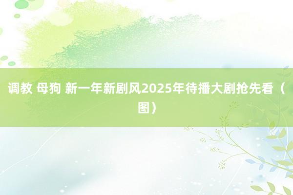 调教 母狗 新一年新剧风2025年待播大剧抢先看（图）