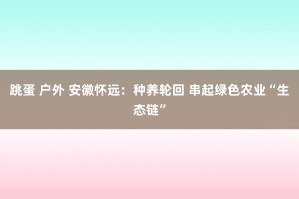 跳蛋 户外 安徽怀远:种养轮回 串起绿色农业“生态链”