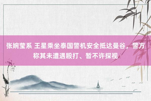 张婉莹系 王星乘坐泰国警机安全抵达曼谷,警方称其未遭遇殴打、暂不许探视