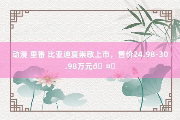 动漫 里番 比亚迪夏崇敬上市,售价24.98-30.98万元🤔
