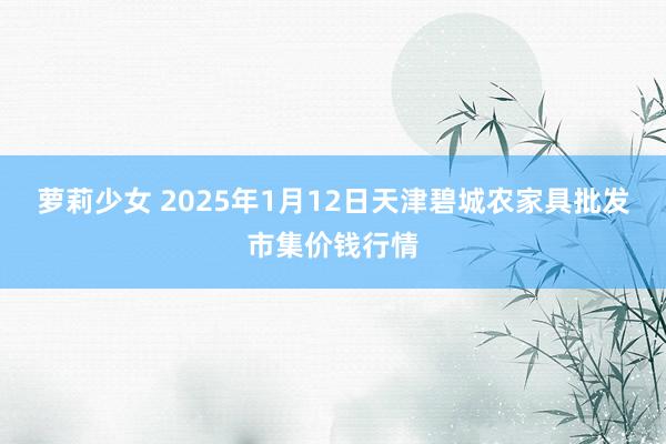 萝莉少女 2025年1月12日天津碧城农家具批发市集价钱行情