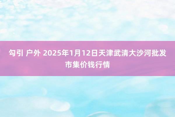 勾引 户外 2025年1月12日天津武清大沙河批发市集价钱行情