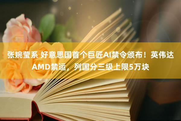 张婉莹系 好意思国首个巨匠AI禁令颁布!英伟达AMD禁运,列国分三级上限5万块