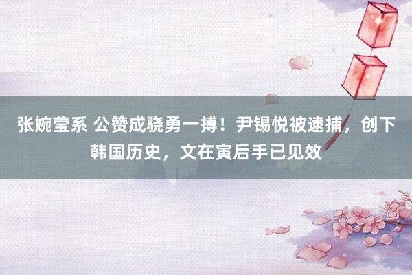 张婉莹系 公赞成骁勇一搏!尹锡悦被逮捕,创下韩国历史,文在寅后手已见效