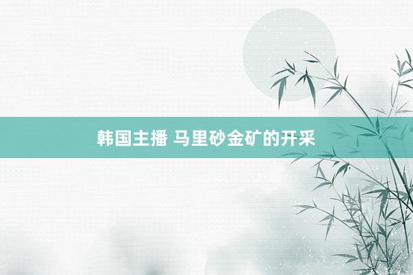 韩国主播 马里砂金矿的开采