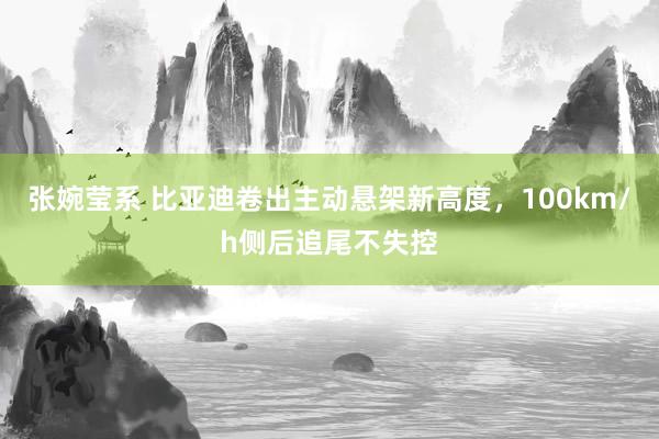 张婉莹系 比亚迪卷出主动悬架新高度,100km/h侧后追尾不失控