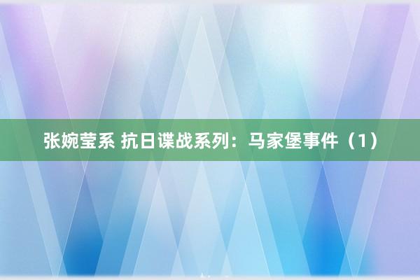 张婉莹系 抗日谍战系列:马家堡事件(1)