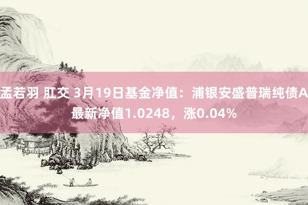 孟若羽 肛交 3月19日基金净值：浦银安盛普瑞纯债A最新净值1.0248，涨0.04%