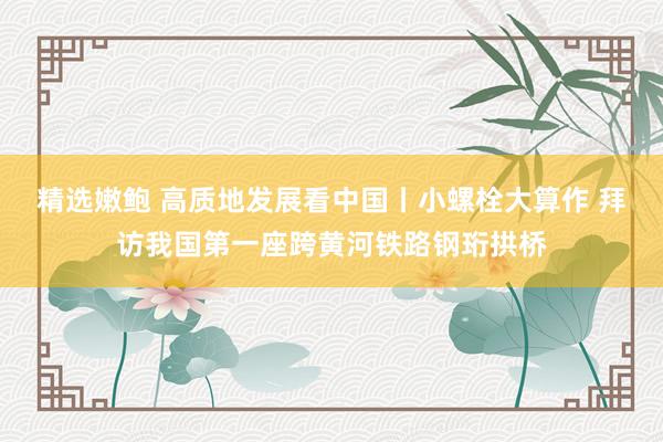 精选嫩鲍 高质地发展看中国丨小螺栓大算作 拜访我国第一座跨黄河铁路钢珩拱桥