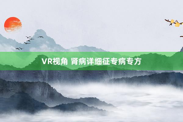 VR视角 肾病详细征专病专方
