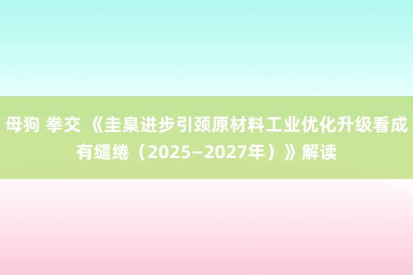 母狗 拳交 《圭臬进步引颈原材料工业优化升级看成有缱绻(2025—2027年)》解读