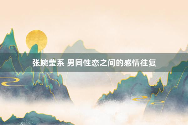 张婉莹系 男同性恋之间的感情往复