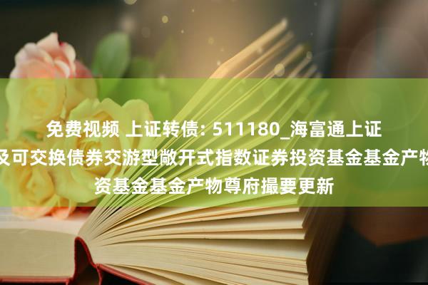 免费视频 上证转债: 511180_海富通上证投资级可转债及可交换债券交游型敞开式指数证券投资基金基金产物尊府撮要更新