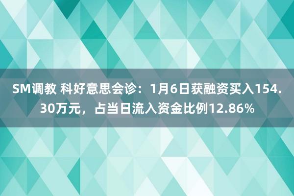 SM调教 科好意思会诊:1月6日获融资买入154.30万元,占当日流入资金比例12.86%