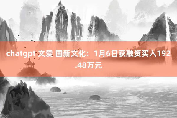 chatgpt 文爱 国新文化:1月6日获融资买入192.48万元