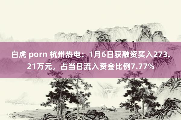 白虎 porn 杭州热电:1月6日获融资买入273.21万元,占当日流入资金比例7.77%