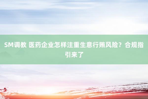 SM调教 医药企业怎样注重生意行贿风险?合规指引来了