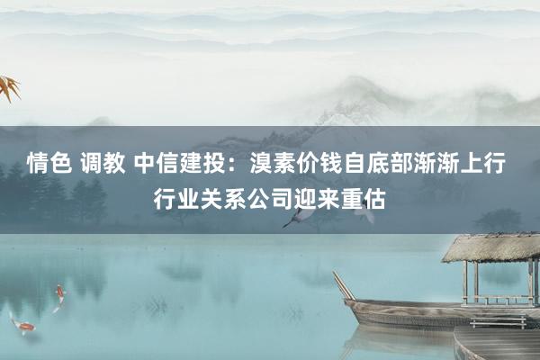 情色 调教 中信建投:溴素价钱自底部渐渐上行 行业关系公司迎来重估