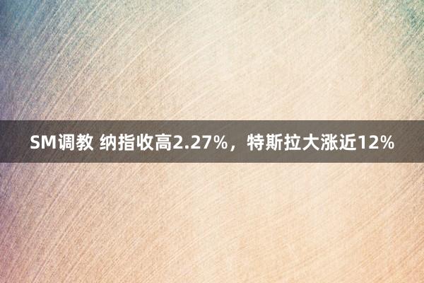 SM调教 纳指收高2.27%,特斯拉大涨近12%