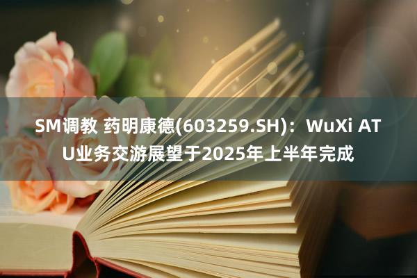 SM调教 药明康德(603259.SH):WuXi ATU业务交游展望于2025年上半年完成