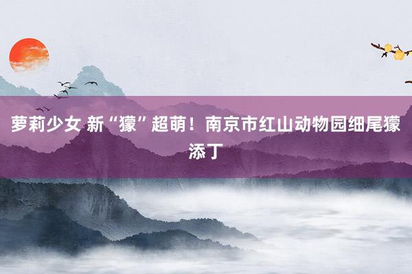 萝莉少女 新“獴”超萌!南京市红山动物园细尾獴添丁