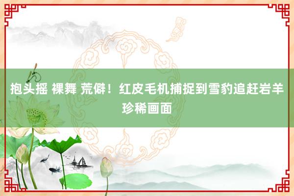 抱头摇 裸舞 荒僻!红皮毛机捕捉到雪豹追赶岩羊珍稀画面