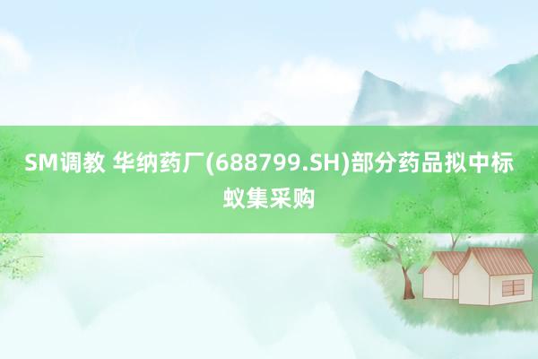 SM调教 华纳药厂(688799.SH)部分药品拟中标蚁集采购