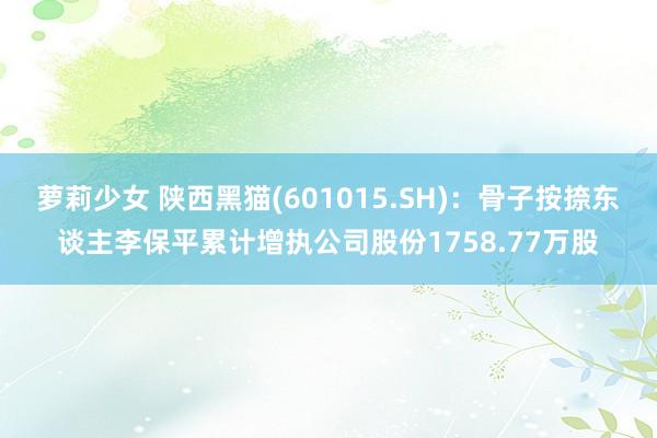 萝莉少女 陕西黑猫(601015.SH):骨子按捺东谈主李保平累计增执公司股份1758.77万股