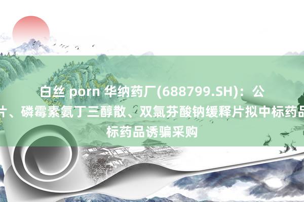 白丝 porn 华纳药厂(688799.SH):公司银杏叶片、磷霉素氨丁三醇散、双氯芬酸钠缓释片拟中标药品诱骗采购