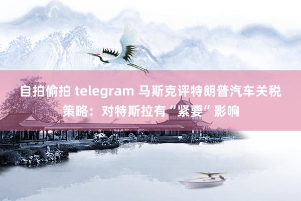 自拍偷拍 telegram 马斯克评特朗普汽车关税策略:对特斯拉有“紧要”影响