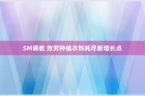 SM调教 效劳种植衣饰耗尽新增长点