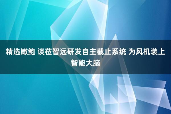 精选嫩鲍 谈莅智远研发自主截止系统 为风机装上智能大脑