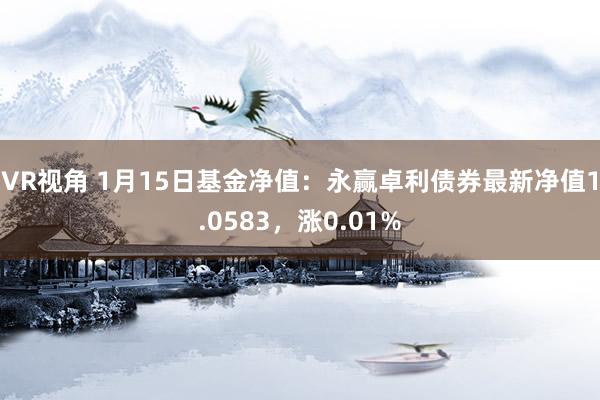 VR视角 1月15日基金净值:永赢卓利债券最新净值1.0583,涨0.01%