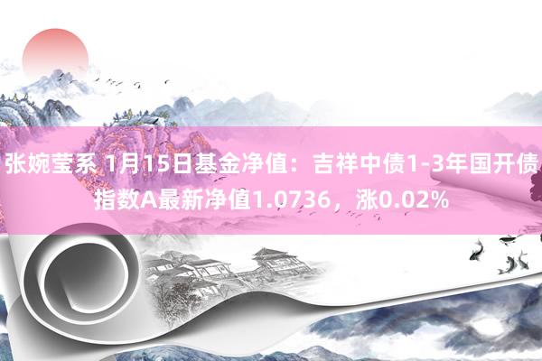张婉莹系 1月15日基金净值:吉祥中债1-3年国开债指数A最新净值1.0736,涨0.02%