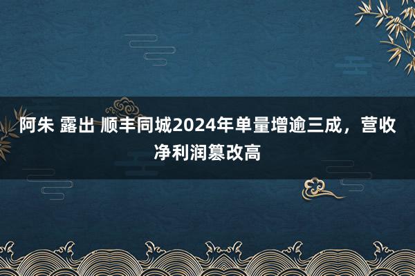 阿朱 露出 顺丰同城2024年单量增逾三成,营收净利润篡改高