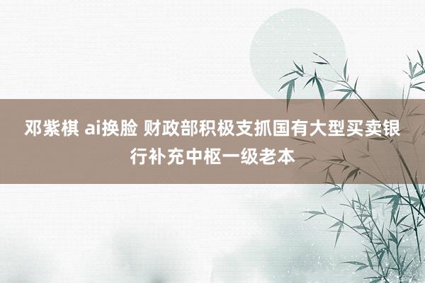 邓紫棋 ai换脸 财政部积极支抓国有大型买卖银行补充中枢一级老本