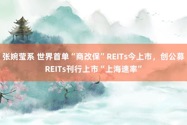 张婉莹系 世界首单“商改保”REITs今上市,创公募REITs刊行上市“上海速率”