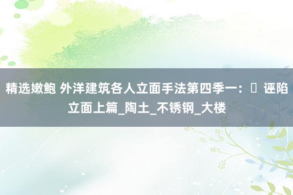 精选嫩鲍 外洋建筑各人立面手法第四季一:诬陷立面上篇_陶土_不锈钢_大楼