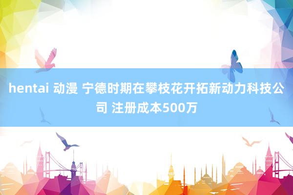 hentai 动漫 宁德时期在攀枝花开拓新动力科技公司 注册成本500万