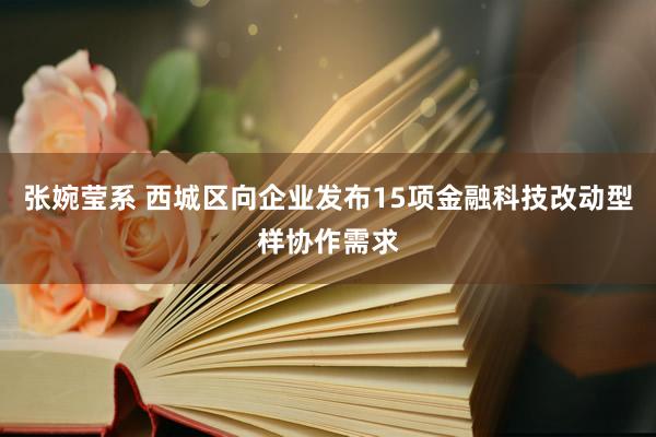 张婉莹系 西城区向企业发布15项金融科技改动型样协作需求