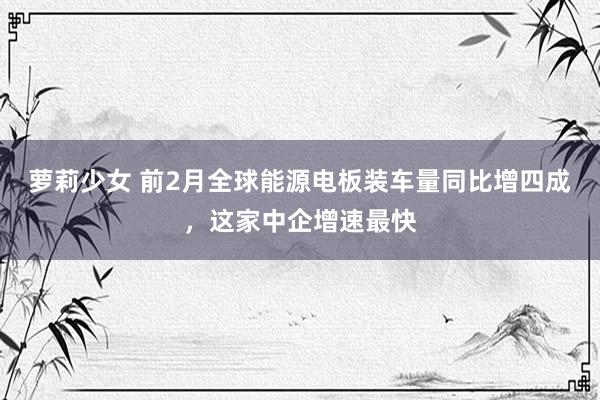 萝莉少女 前2月全球能源电板装车量同比增四成,这家中企增速最快