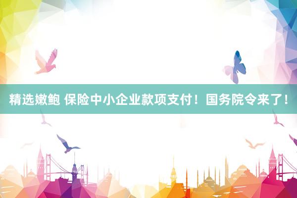 精选嫩鲍 保险中小企业款项支付！国务院令来了！