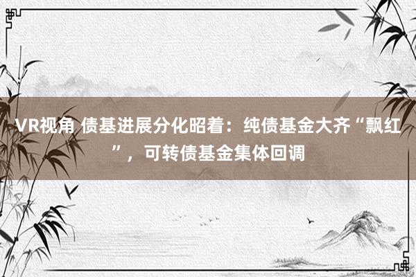 VR视角 债基进展分化昭着：纯债基金大齐“飘红”，可转债基金集体回调