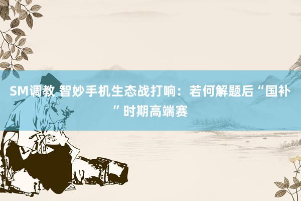 SM调教 智妙手机生态战打响:若何解题后“国补”时期高端赛
