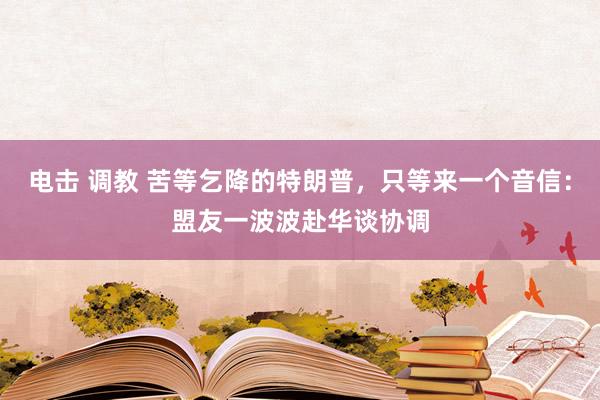 电击 调教 苦等乞降的特朗普,只等来一个音信:盟友一波波赴华谈协调