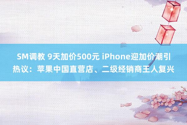 SM调教 9天加价500元 iPhone迎加价潮引热议:苹果中国直营店、二级经销商王人复兴