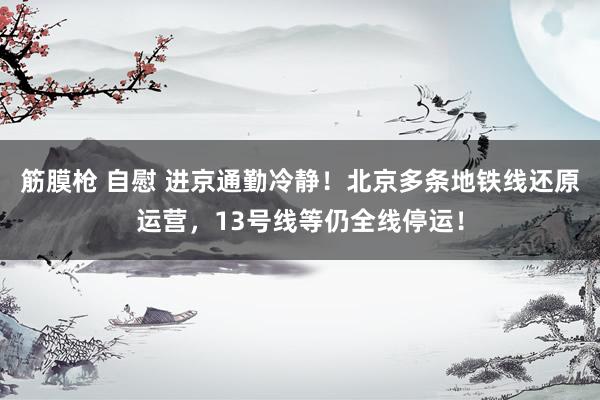 筋膜枪 自慰 进京通勤冷静！北京多条地铁线还原运营，13号线等仍全线停运！