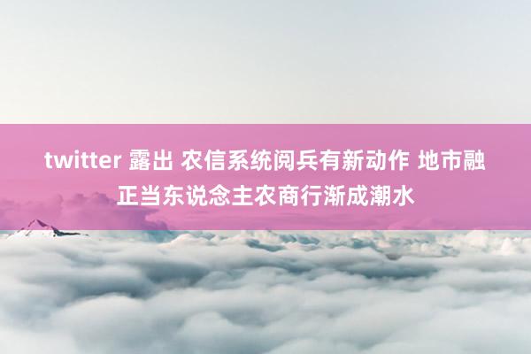twitter 露出 农信系统阅兵有新动作 地市融正当东说念主农商行渐成潮水