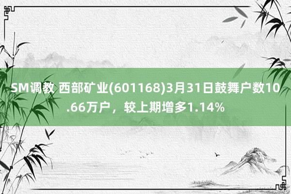 SM调教 西部矿业(601168)3月31日鼓舞户数10.66万户，较上期增多1.14%
